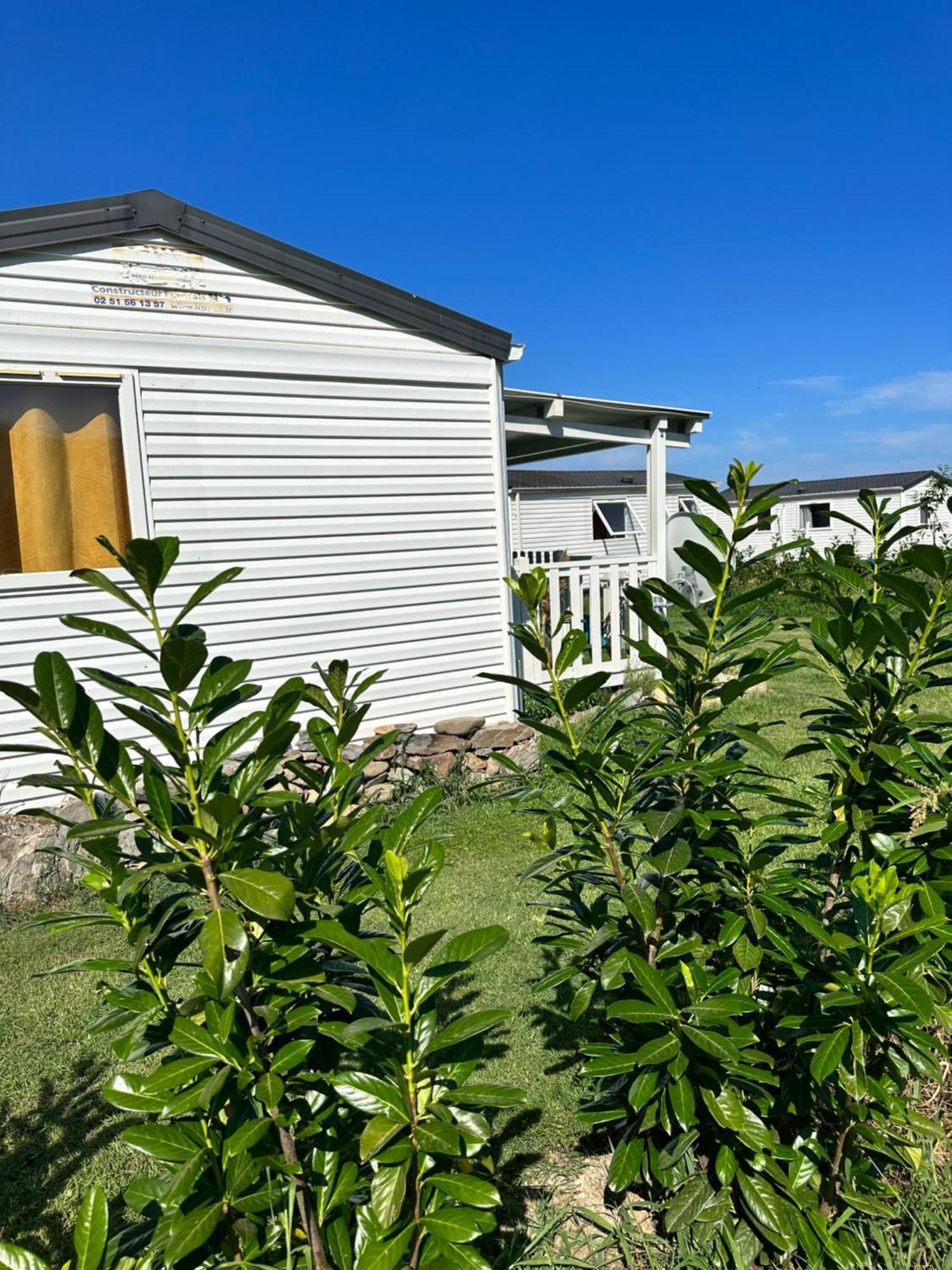 Les Bungalows De Lisa Maria Serra-di-Fiumorbo Exterior foto